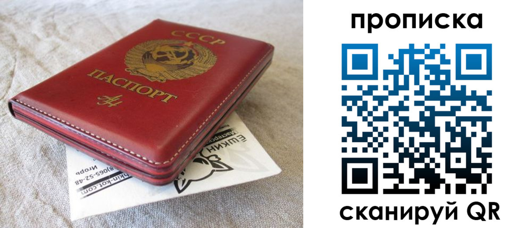 прописка для школы в Ставропольском крае